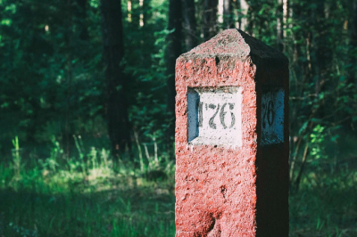 Прокуратура пытается вернуть три гектара леса под Челнами в лесфонд