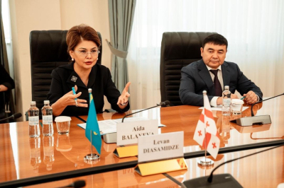 Казахстан и Грузия углубляют культурно-гуманитарные связи