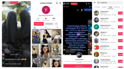 Деятельность инфоцыган в сети требуют взять под контроль