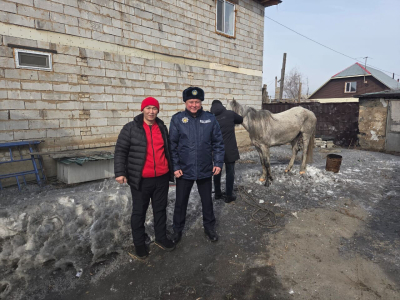 Посмотрите, кто лихачит!