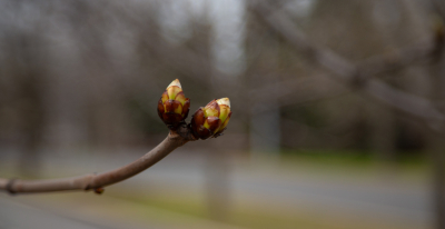 Врач Миронов назвал ошибкой считать тотальный упадок сил весенним авитаминозом