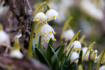 В&nbsp;Татарстане до&nbsp;конца недели сохранится теплая и&nbsp;сухая погода