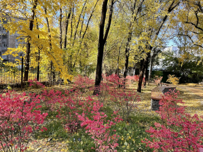 Казахстан - страна, где дети чувствуют себя в безопасности
