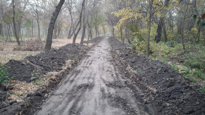 Наносится непоправимый ущерб уникальной природной среде - общественники о строительных работах в роще Баума в Алматы