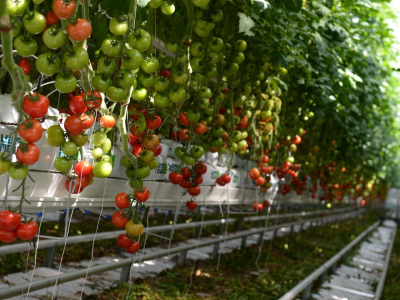 Витаминное&hellip; партнерство