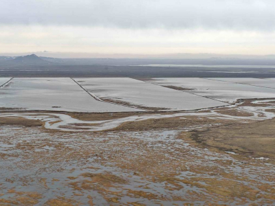 Отдачу показала… ярмарка