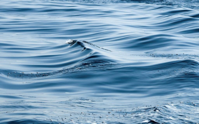 Ученые Университета Саленто допустили перенос дворцов Венеции из-за наводнений