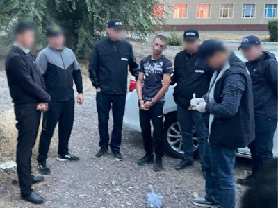 Деятельность двух наркогруппировок пресекли в Жамбылской области  