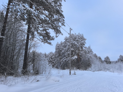 Сильнейшая метель ожидается на Сахалине: синоптики дали прогноз на неделю