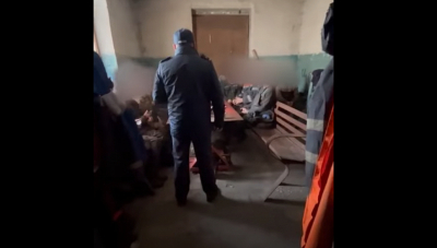 17 иностранцев незаконно работали на предприятии в Акмолинской области