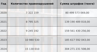 «Теперь мы точно Штрафстан» — общественник привел тревожную статистику по штрафам