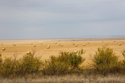Жителям 9 сел Павлодарской области возвратили пастбища
