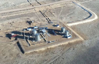 Правительство вновь выставляет нефтяную компанию Боранбаева на продажу