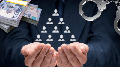 Как распознать финансовую пирамиду и не попасться на уловки мошенников