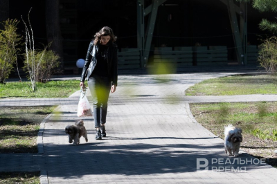 Обработка парков от клещей в Альметьевске отложена до 5 мая