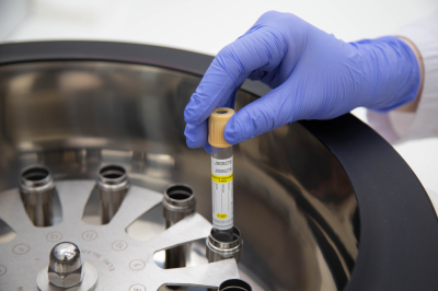 Химик Дорохов: Есть даже чистый на вид снег опасно для здоровья