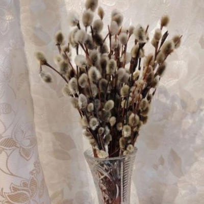 Как освятить и хранить вербу: советы протодиакона на Вербное воскресенье