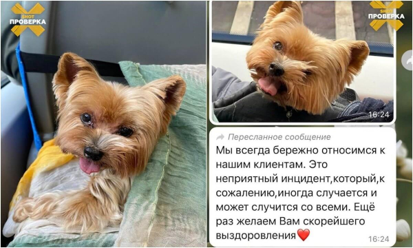 post